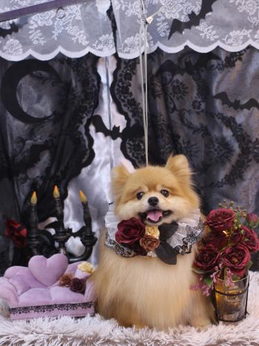 20231006梛都ちゃん